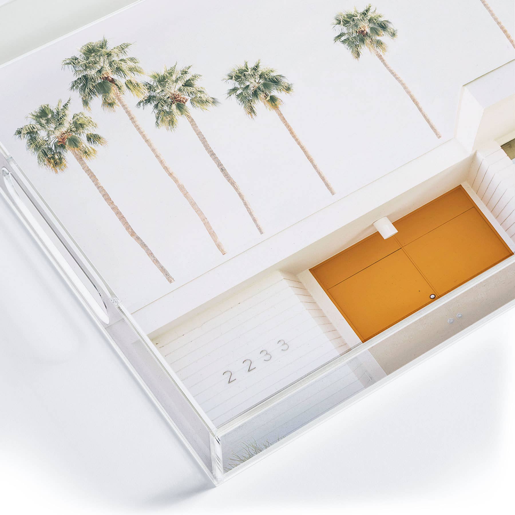 Palm Springs Acrylic Tray