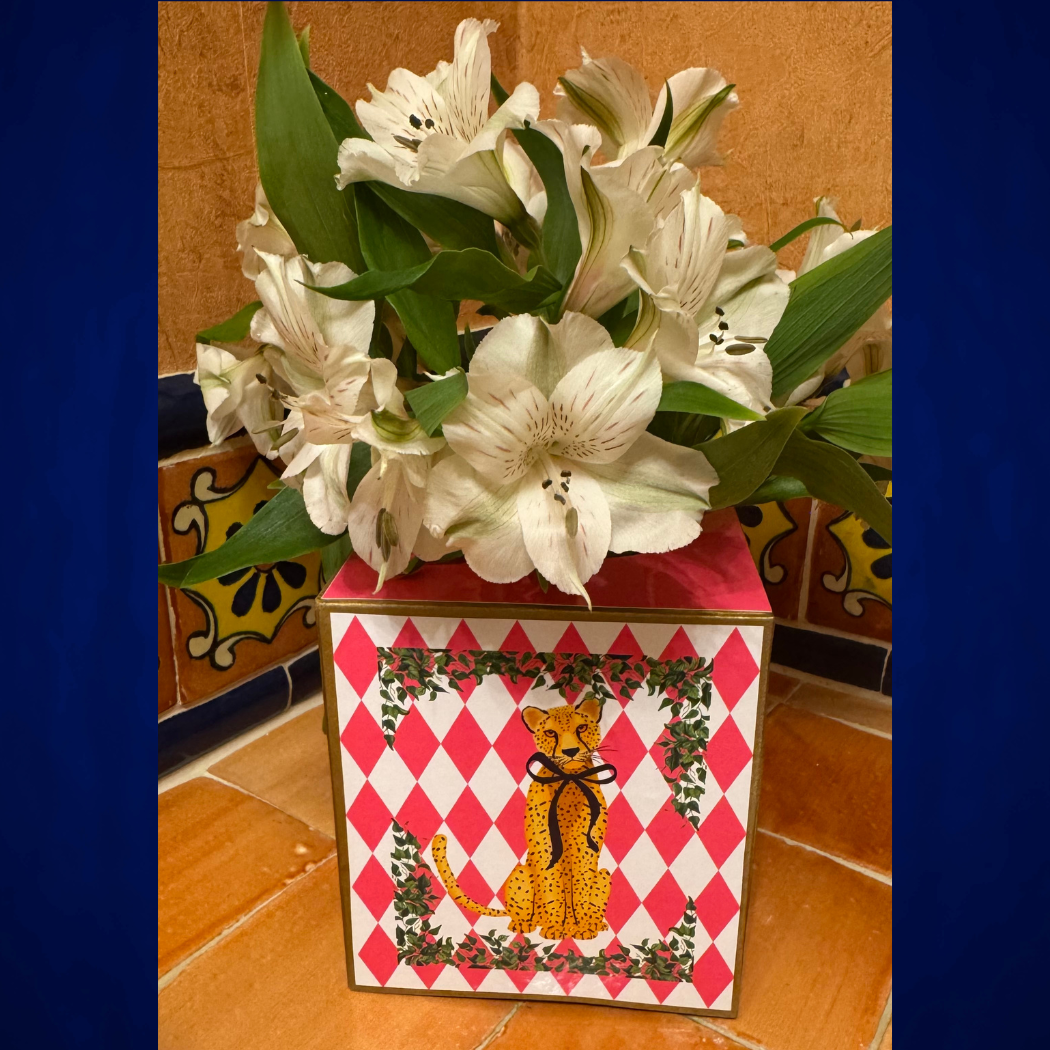 Tissue Box w/ Black Bow Leopard