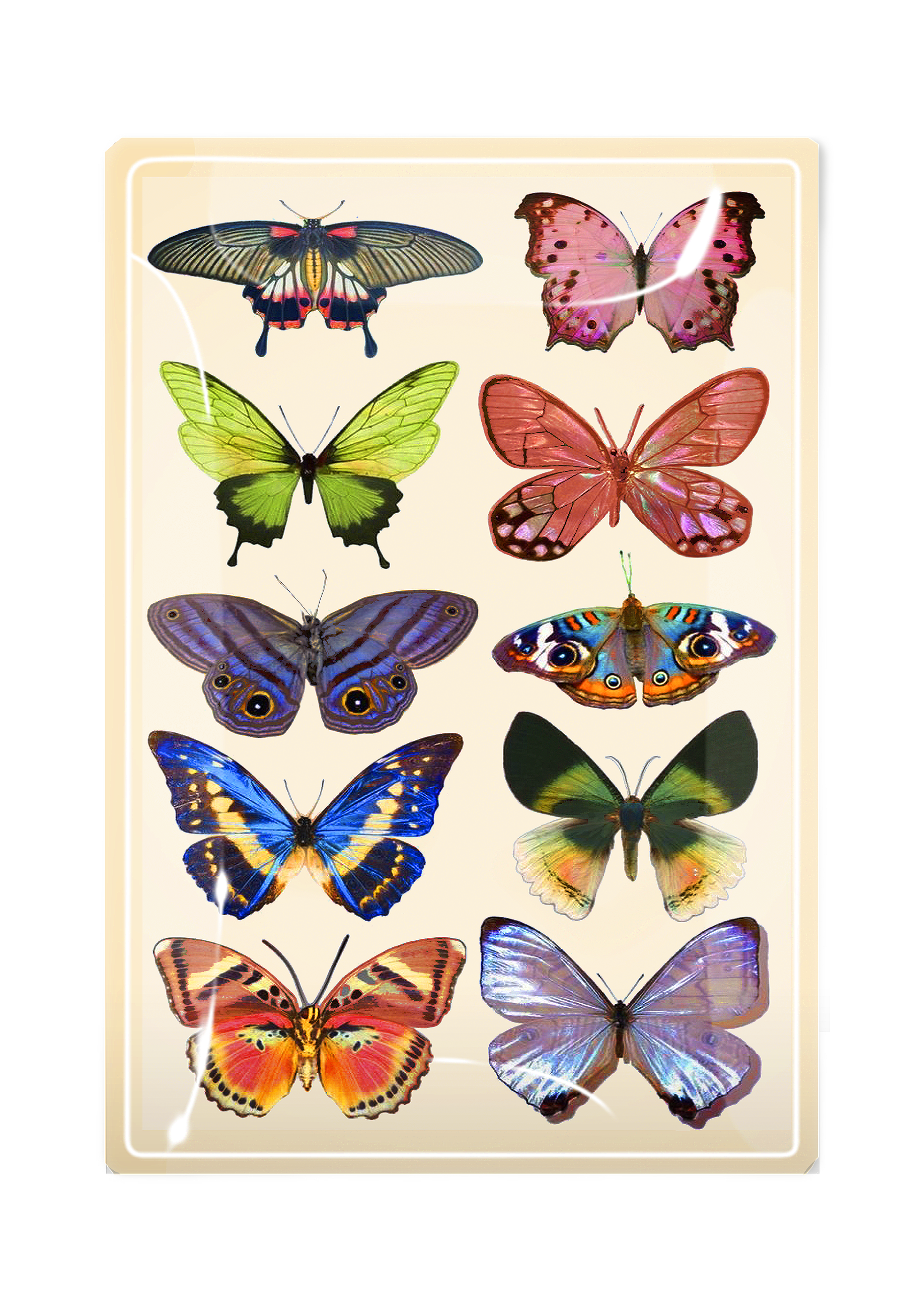 Wildflower Butterflies Decoupage Glass Tray