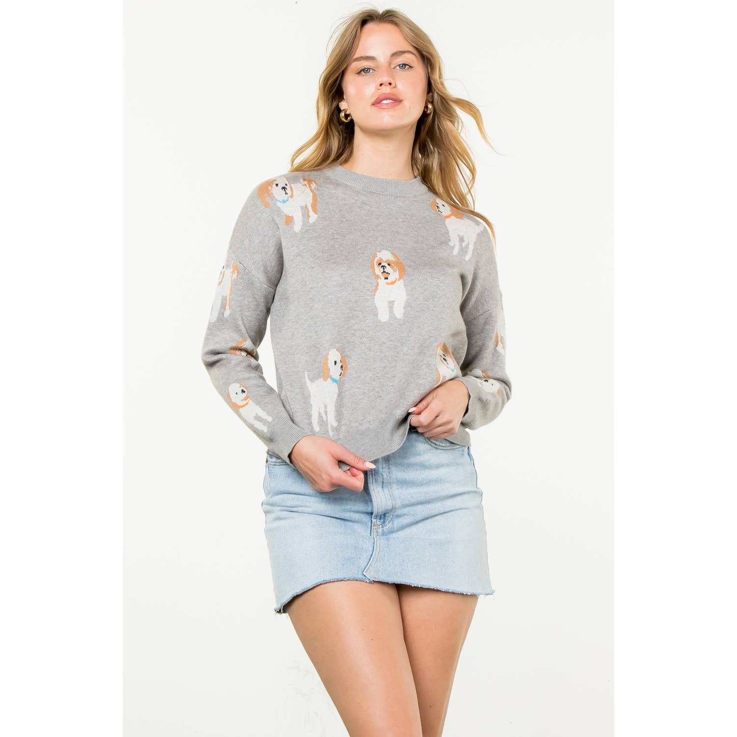 Dog Knit Crew Neck Sweater grey front | MILK MONEY milkmoney.co | cute clothes for women. womens online clothing. trendy online clothing stores. womens casual clothing online. trendy clothes online. trendy women's clothing online. ladies online clothing stores. trendy women's clothing stores. cute female clothes.