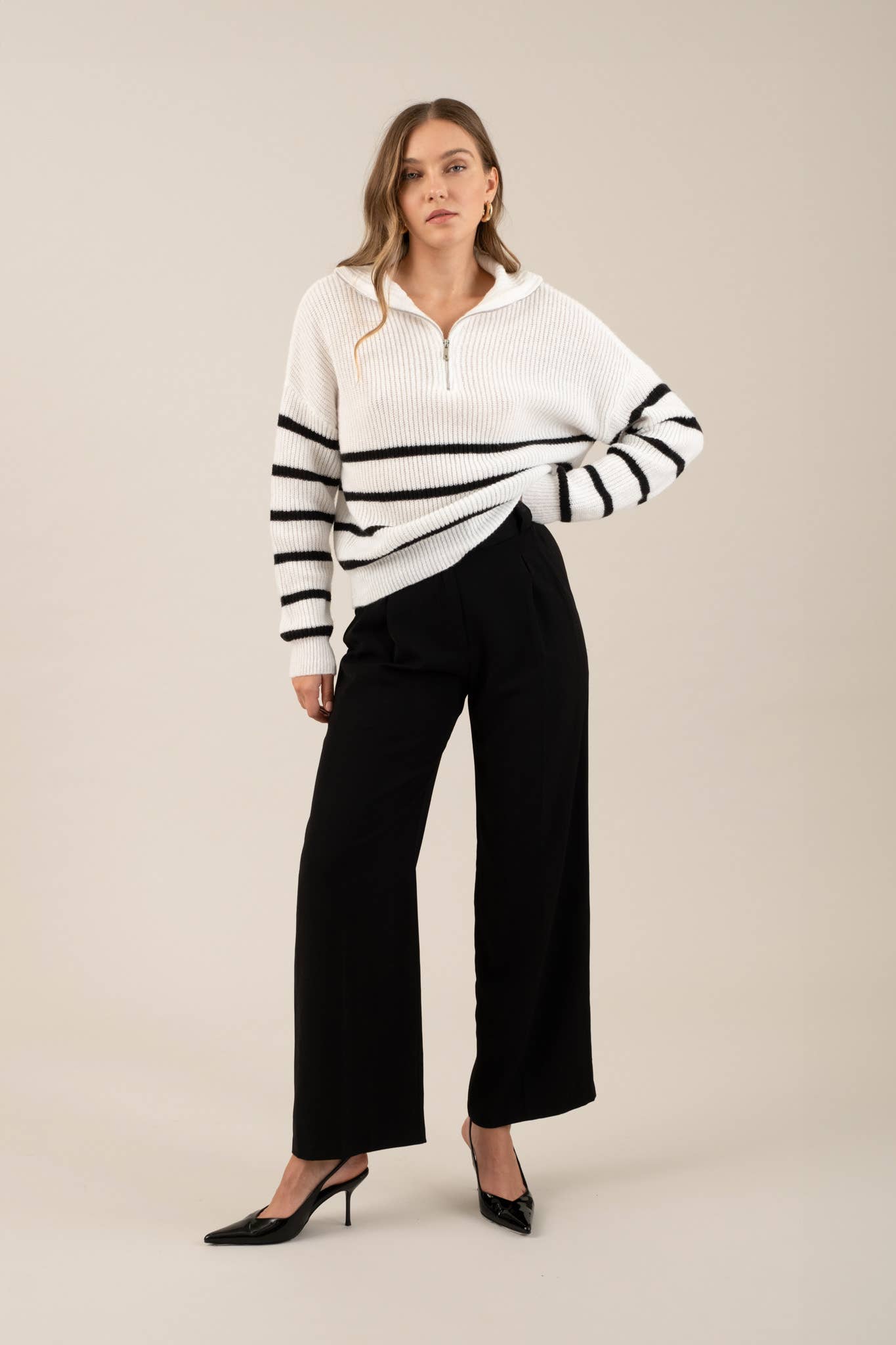 Hi-Waist Wide Leg Pleated Dress Pants, Large