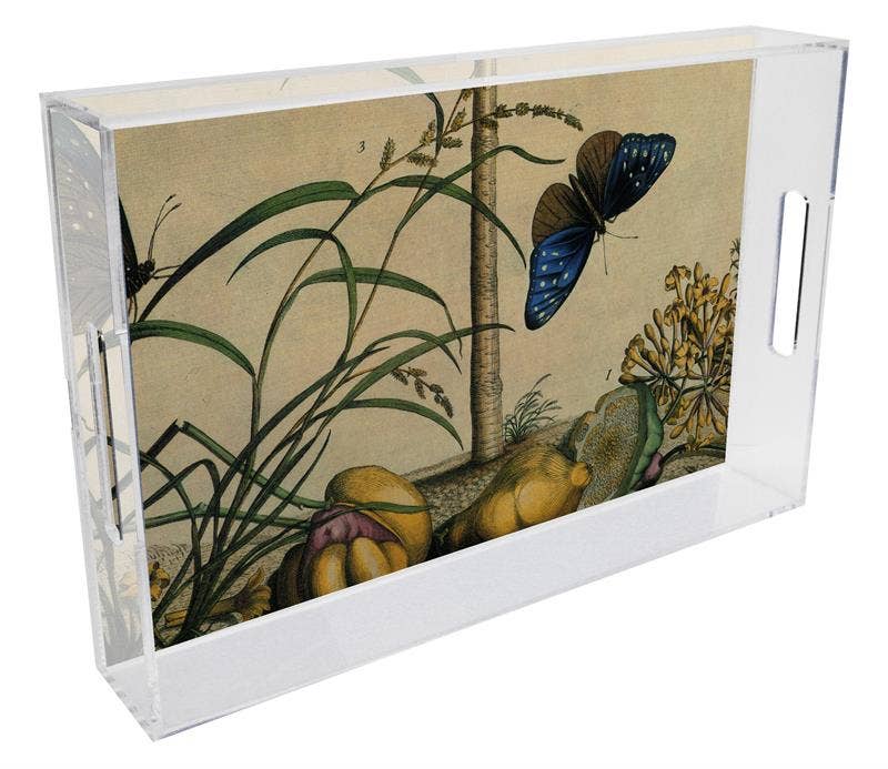 Brown Butterfly & Tree Serving Lucite Tray front | MILK MONEY milkmoney.co | Home decor online, Modern home decor, Luxury home furnishings, Best home decor, Home accessories for sale, Living room furniture sets, Kitchen decor ideas, Wall art for home, Bathroom accessories, Vintage home decor, Minimalist home decor
