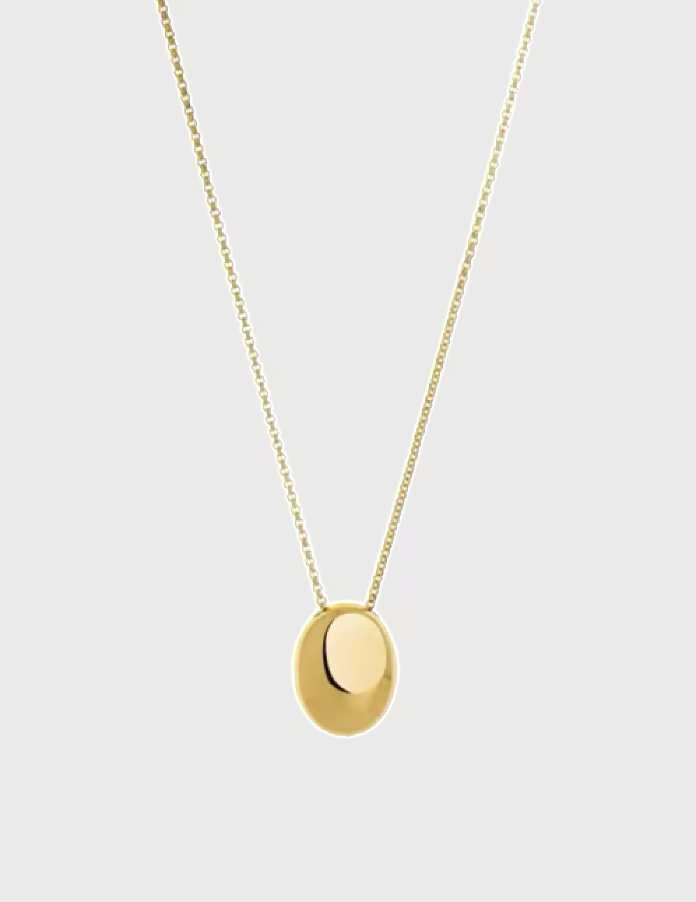 Long Chain Oval Pendant Necklace