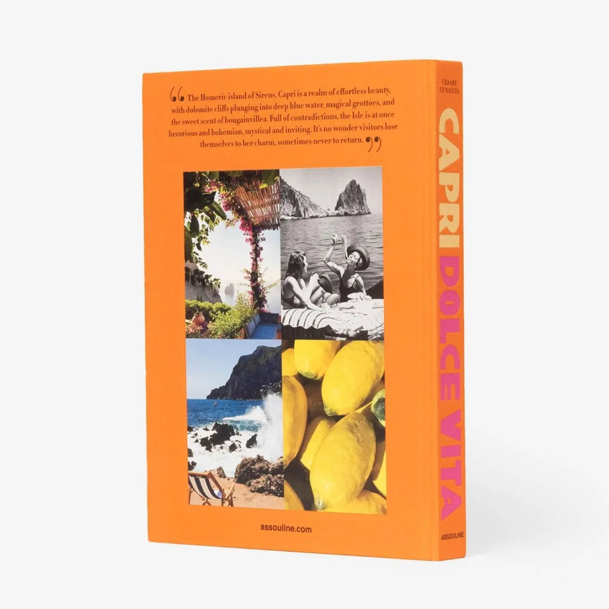 Assouline Capri Dolce Vita Coffee Table Book back | MILK MONEY milkmoney.co | white elephant gift ideas, gift, mother's day gift ideas, white elephant gift, gift shops near me, cute home decor, mother's day gift, cute home accents, handmade in USA, elegant home decor, luxury home, luxury gifts
Unique gifts, Best gifts for her, Gift ideas for him. Last-minute gifts
Cheap gift ideas, Gifts for women, Luxury gifts