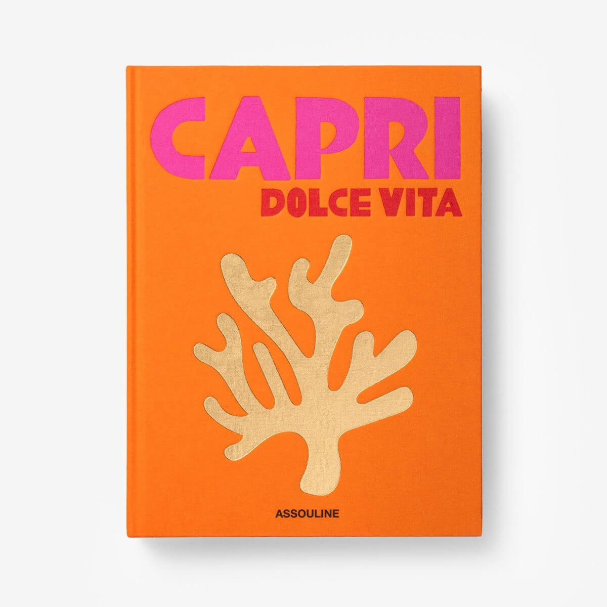 Assouline Capri Dolce Vita Coffee Table Book front | MILK MONEY milkmoney.co | white elephant gift ideas, gift, mother's day gift ideas, white elephant gift, gift shops near me, cute home decor, mother's day gift, cute home accents, handmade in USA, elegant home decor, luxury home, luxury gifts
Unique gifts, Best gifts for her, Gift ideas for him. Last-minute gifts
Cheap gift ideas, Gifts for women, Luxury gifts