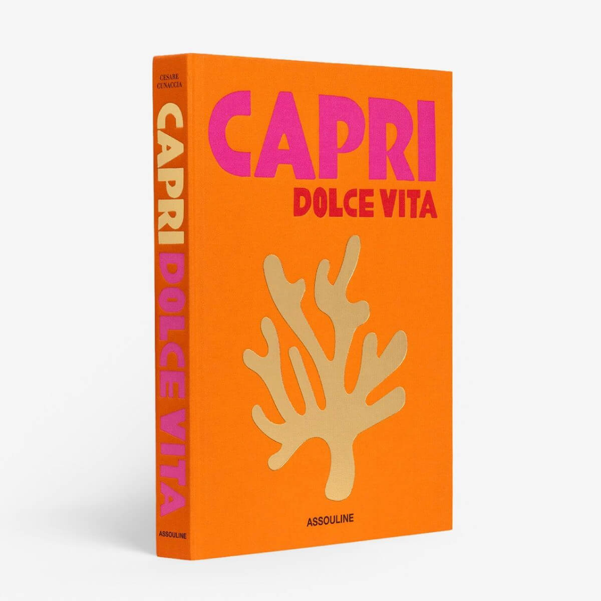 Assouline Capri Dolce Vita Coffee Table Book front | MILK MONEY milkmoney.co | white elephant gift ideas, gift, mother's day gift ideas, white elephant gift, gift shops near me, cute home decor, mother's day gift, cute home accents, handmade in USA, elegant home decor, luxury home, luxury gifts
Unique gifts, Best gifts for her, Gift ideas for him. Last-minute gifts
Cheap gift ideas, Gifts for women, Luxury gifts