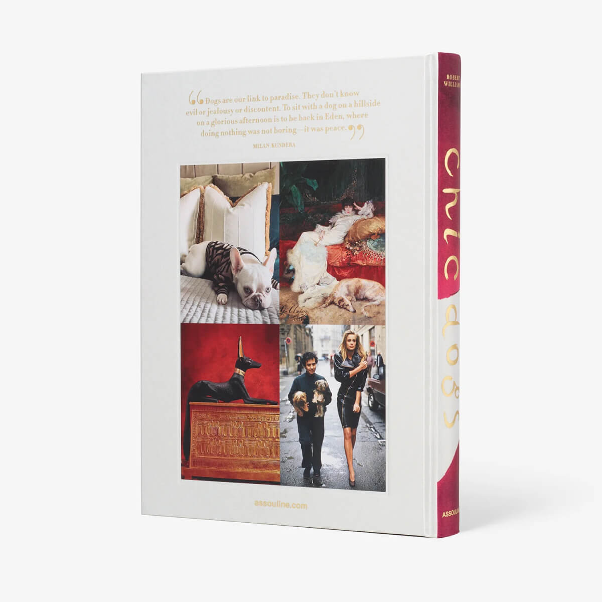 Assouline Chic Dogs Coffee Table Book