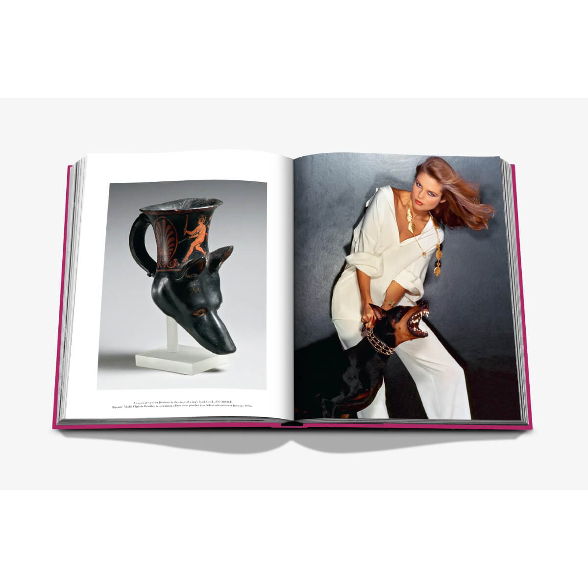 Assouline Chic Dogs Coffee Table Book