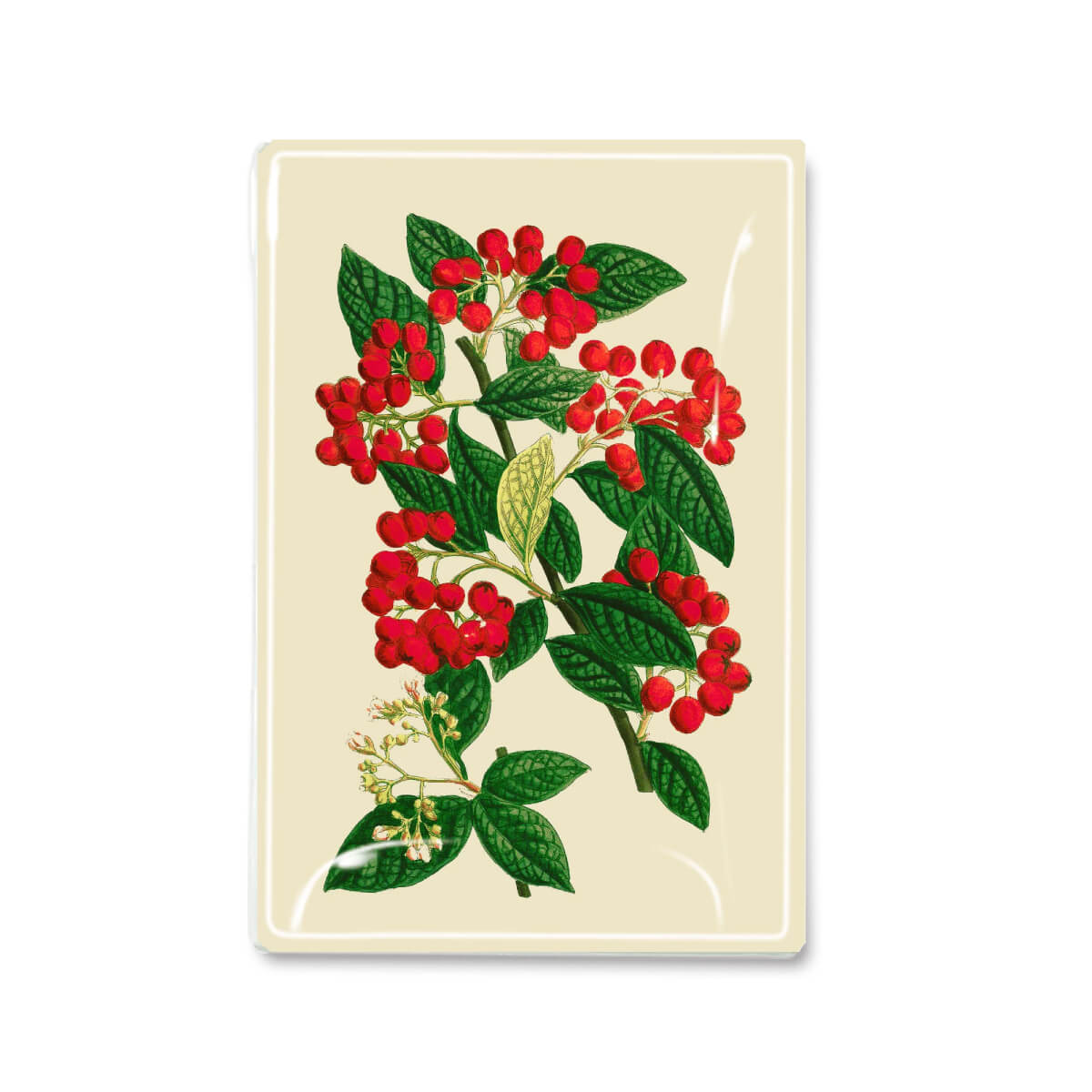 Ben's Garden Winter Christmas Berry Decoupage Glass Tray front | MILK MONEY milkmoney.co | white elephant gift ideas, gift, mother's day gift ideas, white elephant gift, gift shops near me, cute home decor, mother's day gift, cute home accents, handmade in USA, elegant home decor, luxury home, luxury gifts
Unique gifts, Best gifts for her, Gift ideas for him. Last-minute gifts
Cheap gift ideas, Gifts for women, Luxury gifts