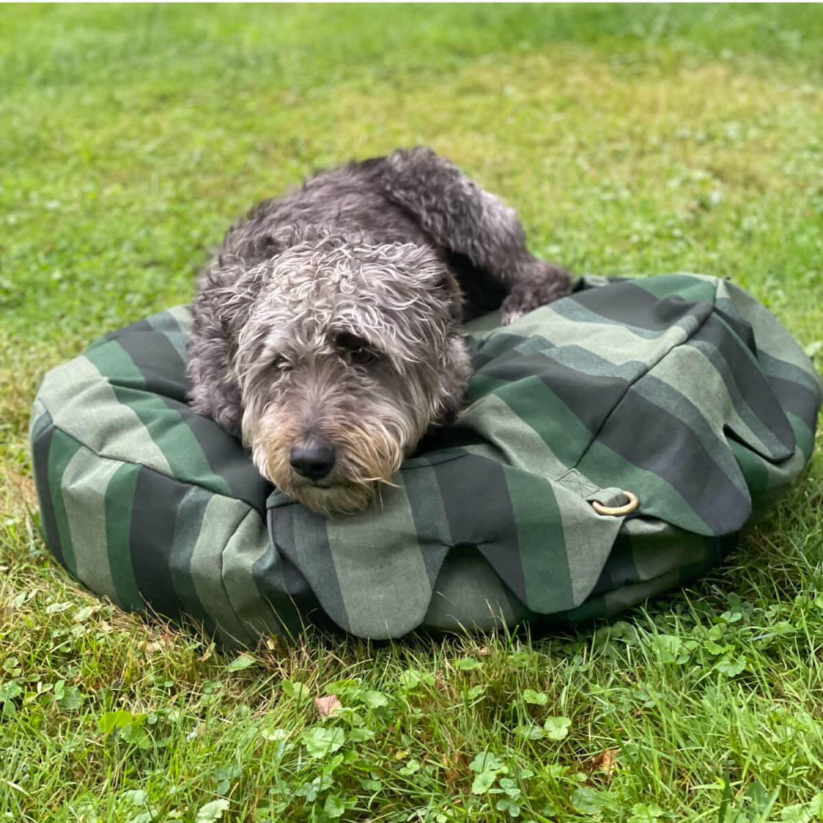 Brass Ring Cover Pet Beds | MILK MONEY milkmoney.co | cute dog bed , custom dog bed, Home decor online, Modern home decor, Luxury home furnishings, Best home decor, Home accessories for sale, Living room furniture sets, Kitchen decor ideas, Wall art for home, Bathroom accessories, Vintage home decor, Minimalist home decor