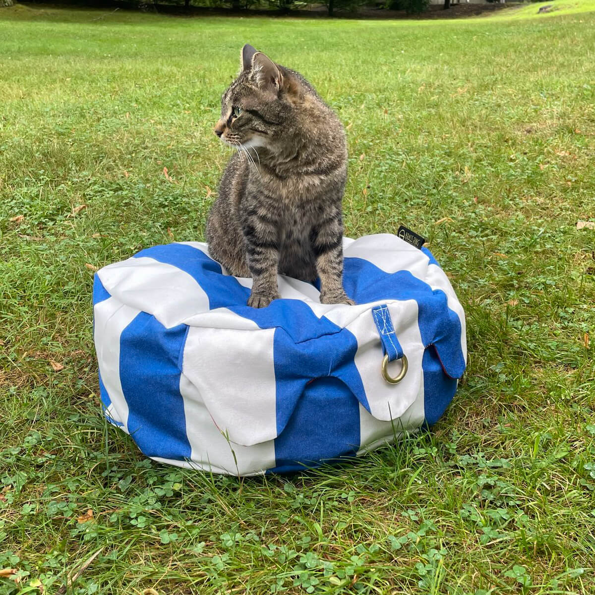 Brass Ring Cover Pet Beds | MILK MONEY milkmoney.co | cute dog bed , custom dog bed, Home decor online, Modern home decor, Luxury home furnishings, Best home decor, Home accessories for sale, Living room furniture sets, Kitchen decor ideas, Wall art for home, Bathroom accessories, Vintage home decor, Minimalist home decor