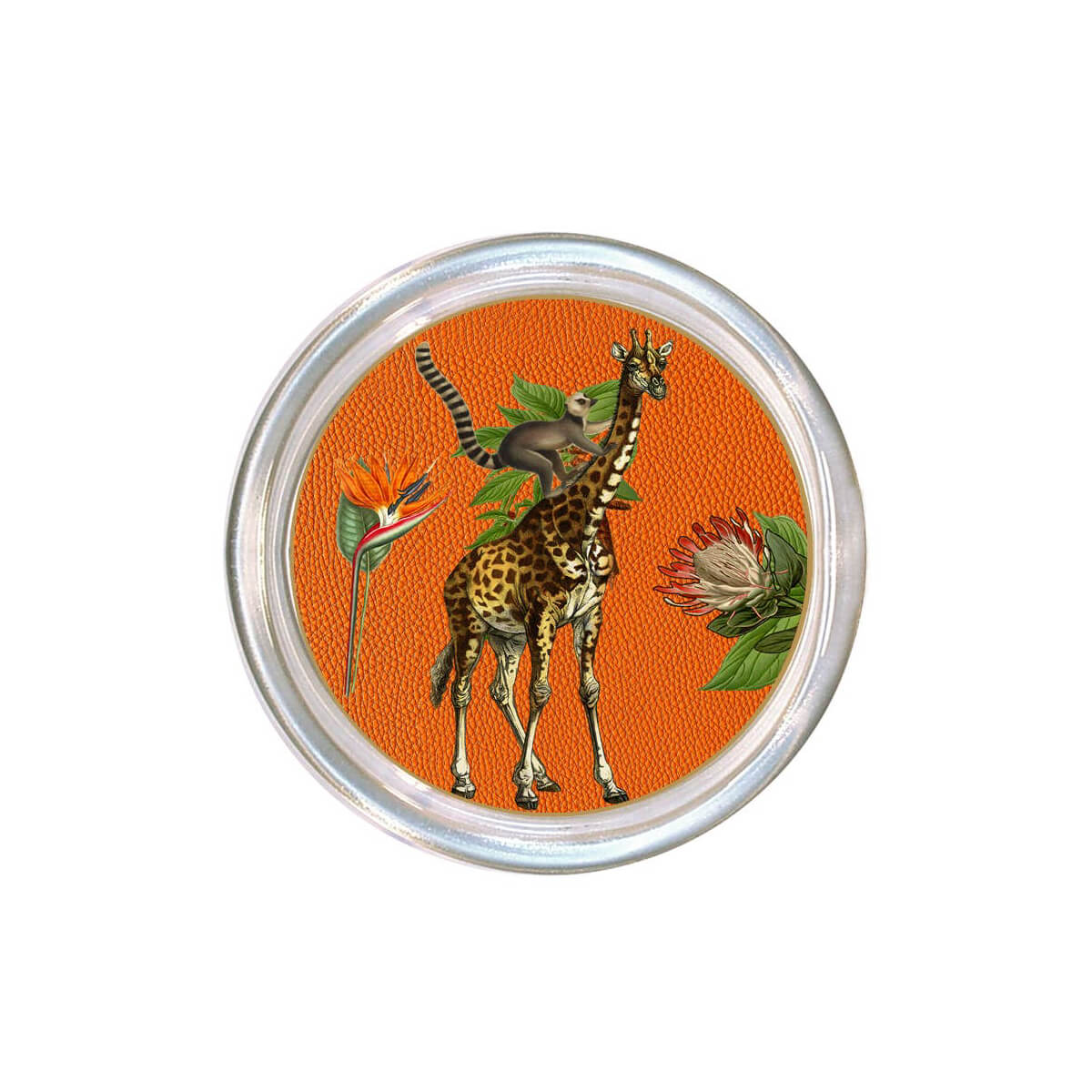 Giraffe African Obsession Glass Coaster