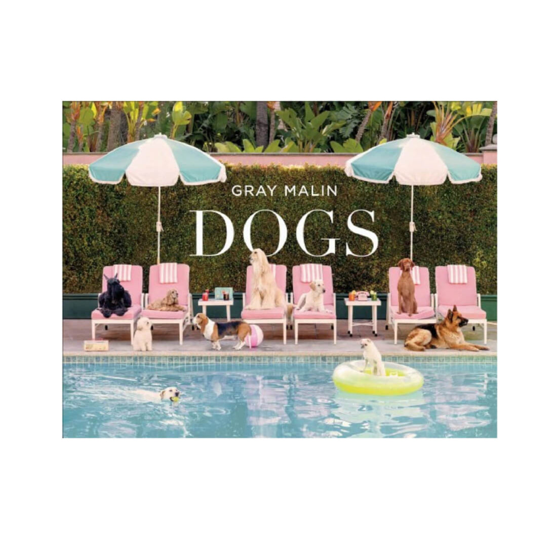 Gray Malin: Dogs Coffee Table Book front | MILK MONEY milkmoney.co | white elephant gift ideas, gift, mother's day gift ideas, white elephant gift, gift shops near me, cute home decor, mother's day gift, cute home accents, handmade in USA, elegant home decor, luxury home, luxury gifts
Unique gifts, Best gifts for her, Gift ideas for him. Last-minute gifts
Cheap gift ideas, Gifts for women, Luxury gifts