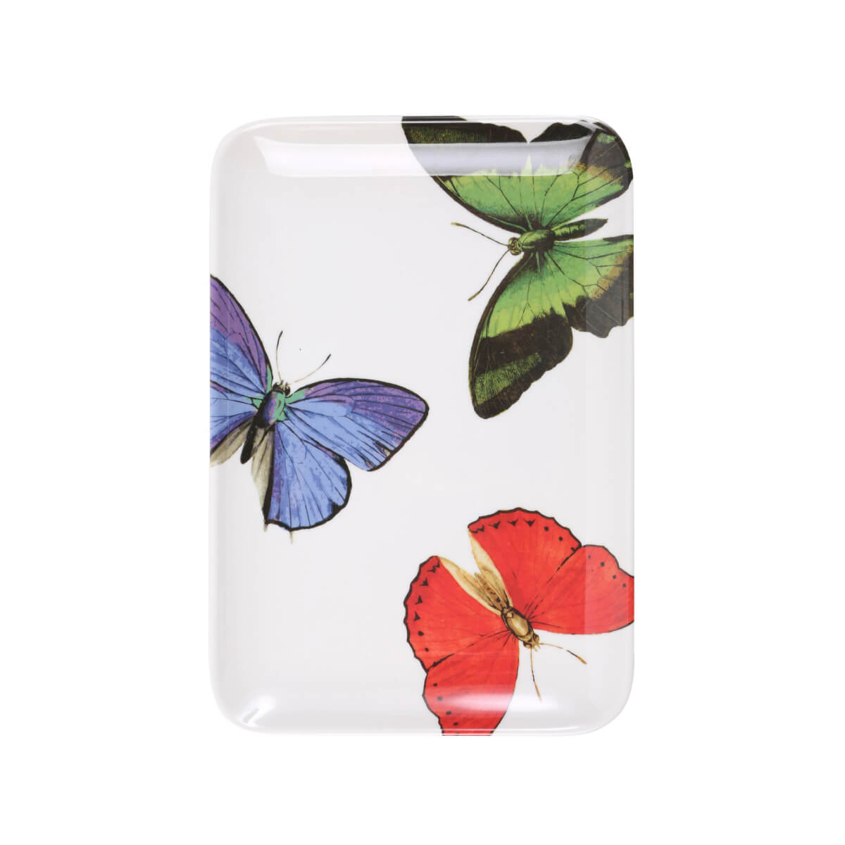 Metamorphosis Butterfly Rectangle Valet Tray Set