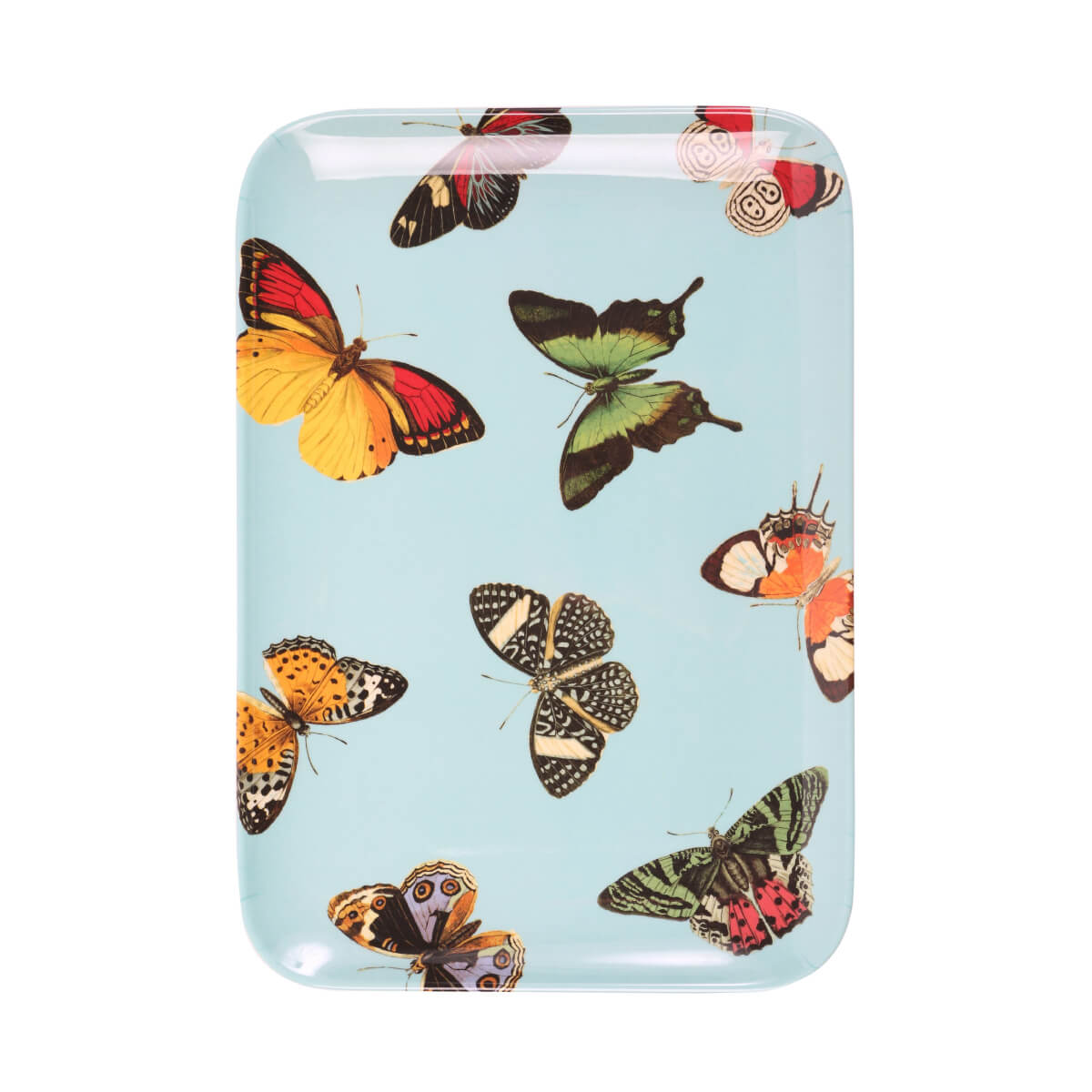 Metamorphosis Butterfly Rectangle Valet Tray Set