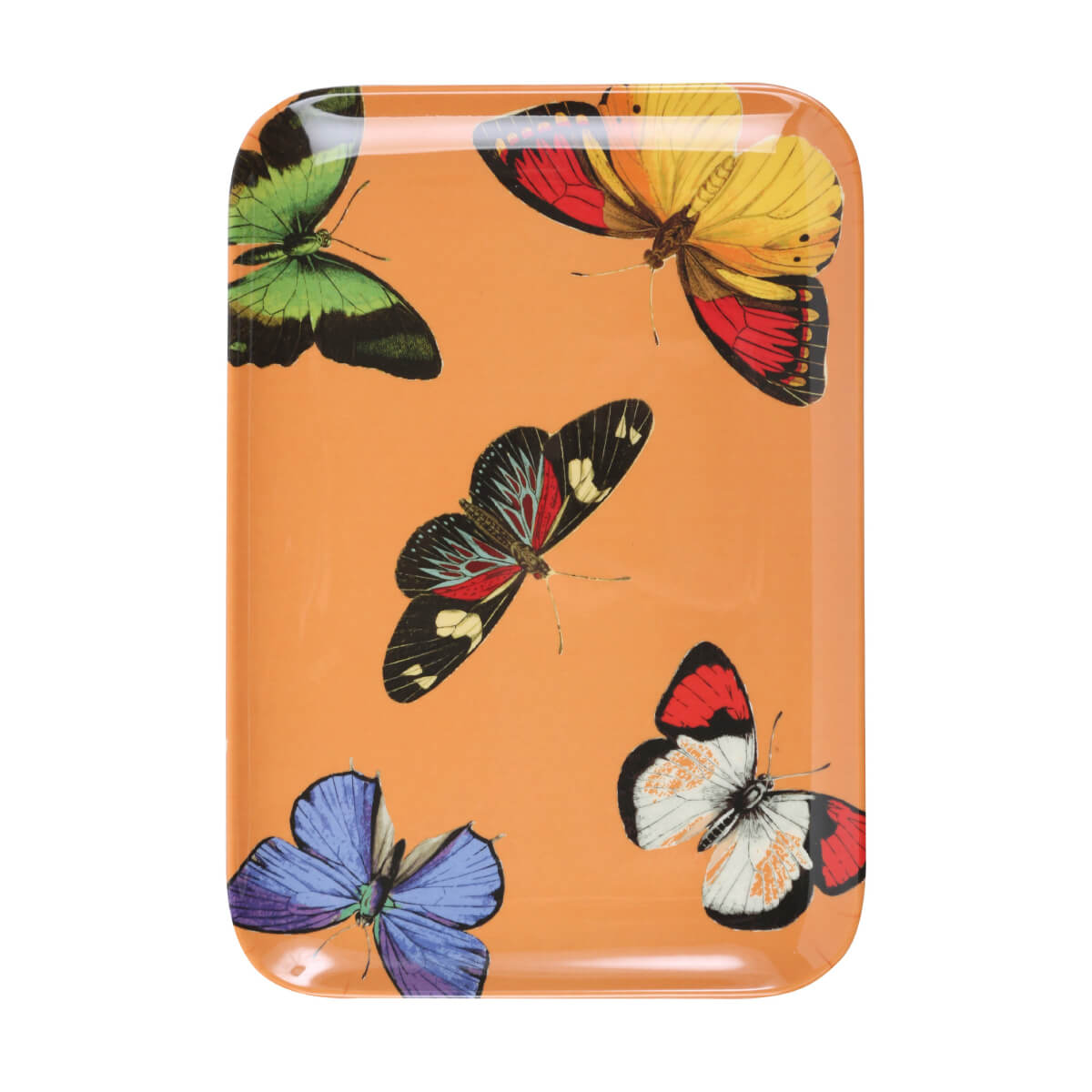 Metamorphosis Butterfly Rectangle Valet Tray Set