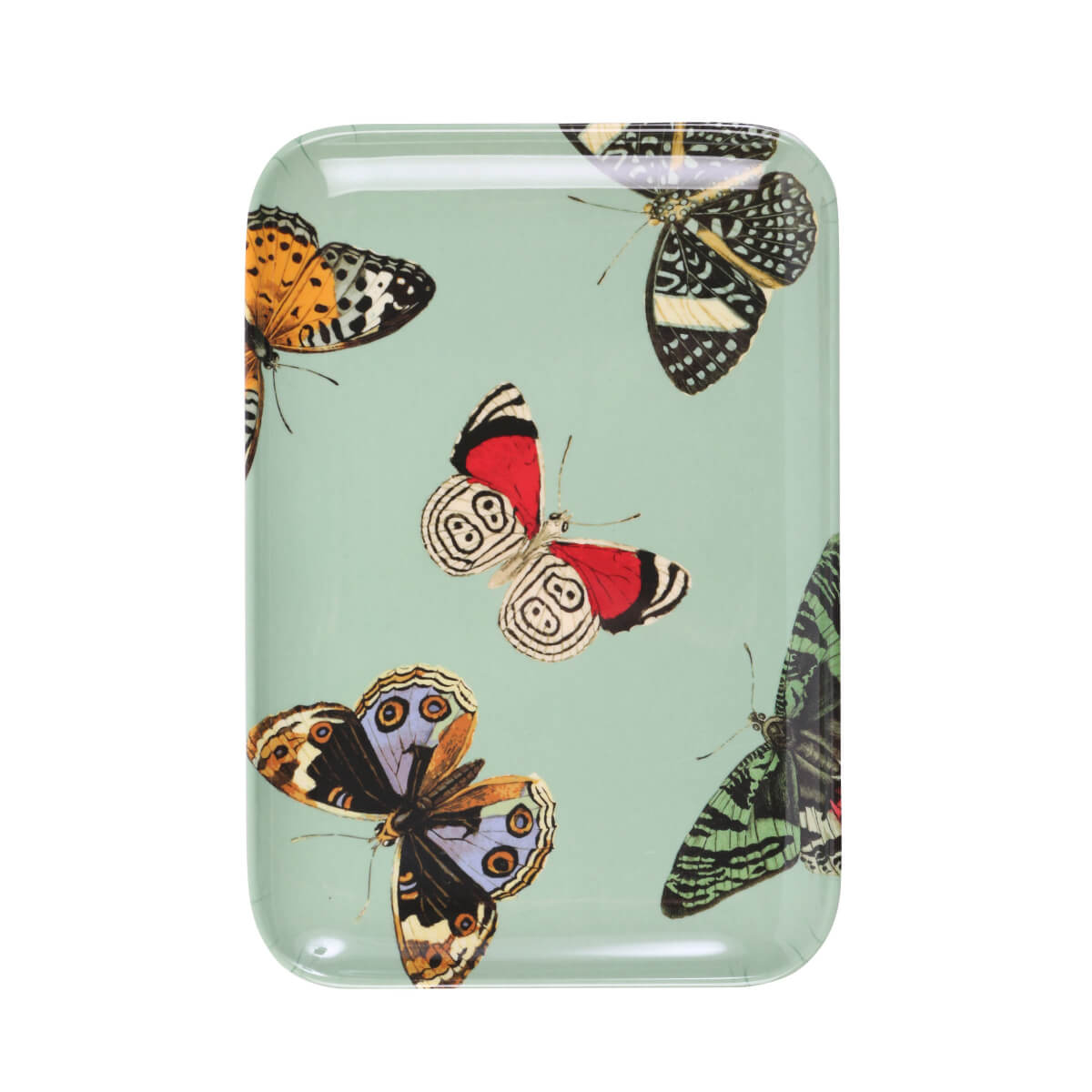 Metamorphosis Butterfly Rectangle Valet Tray Set