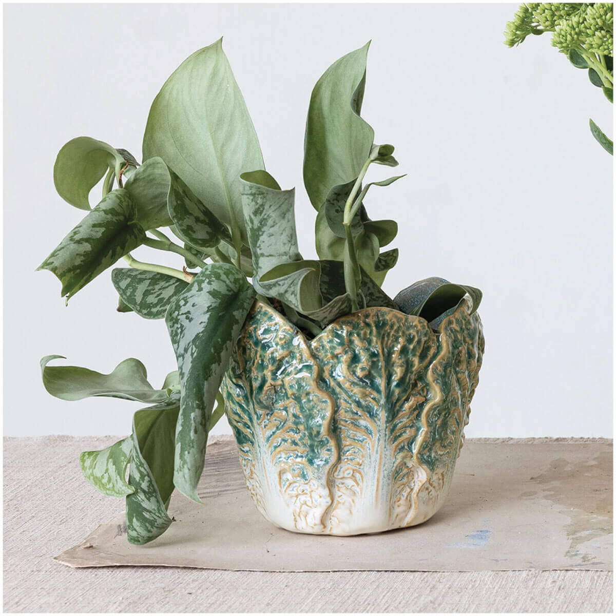 Stoneware Cabbage Shaped Planter green | MILK MONEY milkmoney.co | white elephant gift ideas, gift, mother's day gift ideas, white elephant gift, gift shops near me, cute home decor, mother's day gift, cute home accents, handmade in USA, elegant home decor, luxury home, luxury gifts
Unique gifts, Best gifts for her, Gift ideas for him. Last-minute gifts
Cheap gift ideas, Gifts for women, Luxury gifts