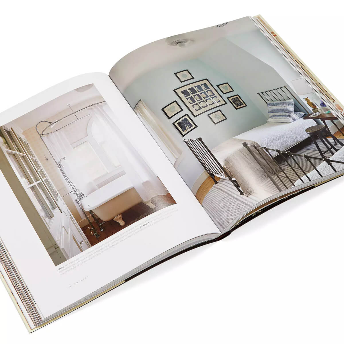 The Tom Scheerer Compendium Coffee Table Book Box Set