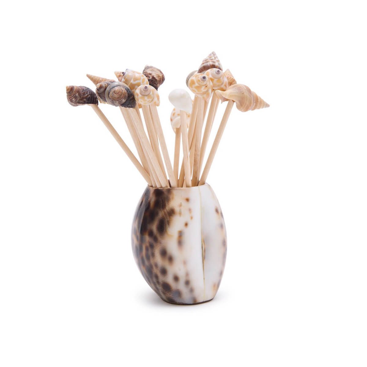 Tiger Cowrie Shell with 20 Assorted Sea Shell Picks front | MILK MONEY milkmoney.co | white elephant gift ideas, gift, mother's day gift ideas, white elephant gift, gift shops near me, cute home decor, mother's day gift, cute home accents, handmade in USA, elegant home decor, luxury home, luxury gifts
Unique gifts, Best gifts for her, Gift ideas for him. Last-minute gifts
Cheap gift ideas, Gifts for women, Luxury gifts