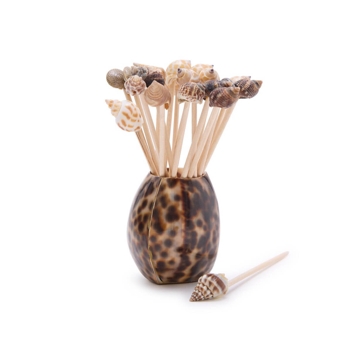 Tiger Cowrie Shell with 20 Assorted Sea Shell Picks front | MILK MONEY milkmoney.co | white elephant gift ideas, gift, mother's day gift ideas, white elephant gift, gift shops near me, cute home decor, mother's day gift, cute home accents, handmade in USA, elegant home decor, luxury home, luxury gifts
Unique gifts, Best gifts for her, Gift ideas for him. Last-minute gifts
Cheap gift ideas, Gifts for women, Luxury gifts