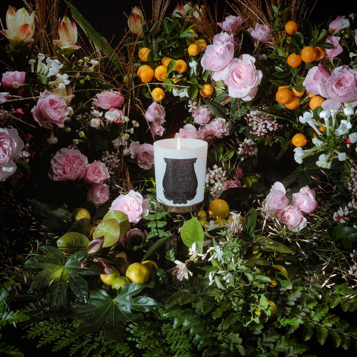 Trudon Rose Poivrée Giambattista Valli Candle front | MILK MONEY milkmoney.co | soy wax candles, small candles. natural candles, organic candles, scented soy candles, concrete candle, hand poured candles, hand poured soy candles, cement candle, hand poured soy wax candles, scented hand poured candles, hand poured scented candles