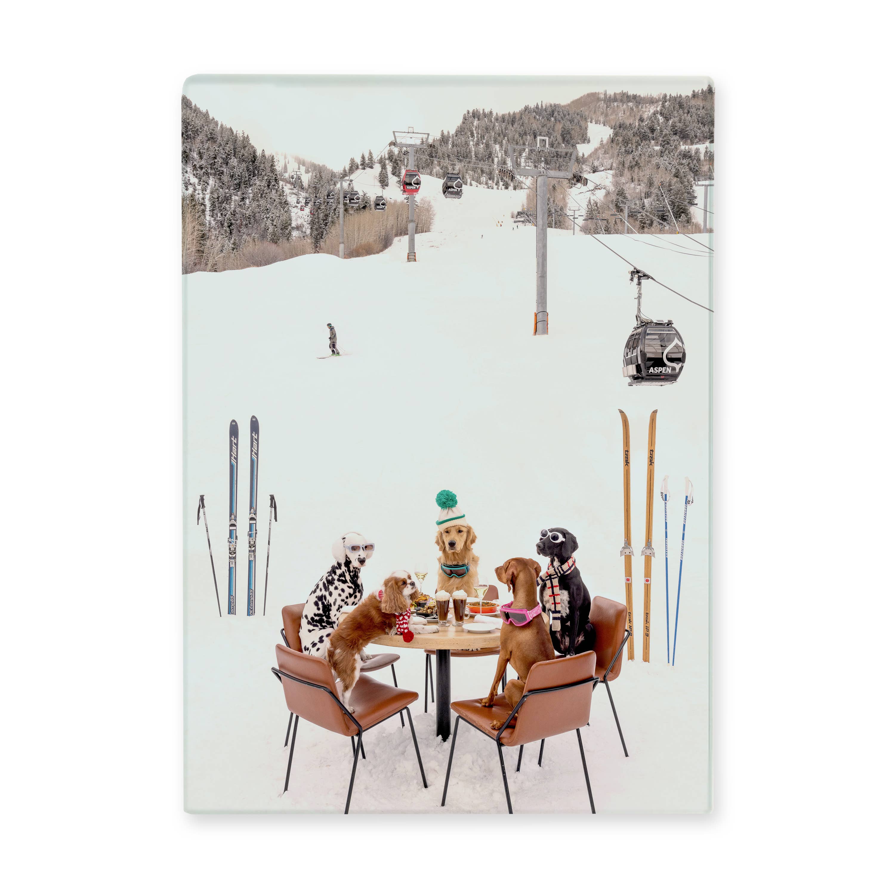 Dog's Ski Party Glass Bar Trivet