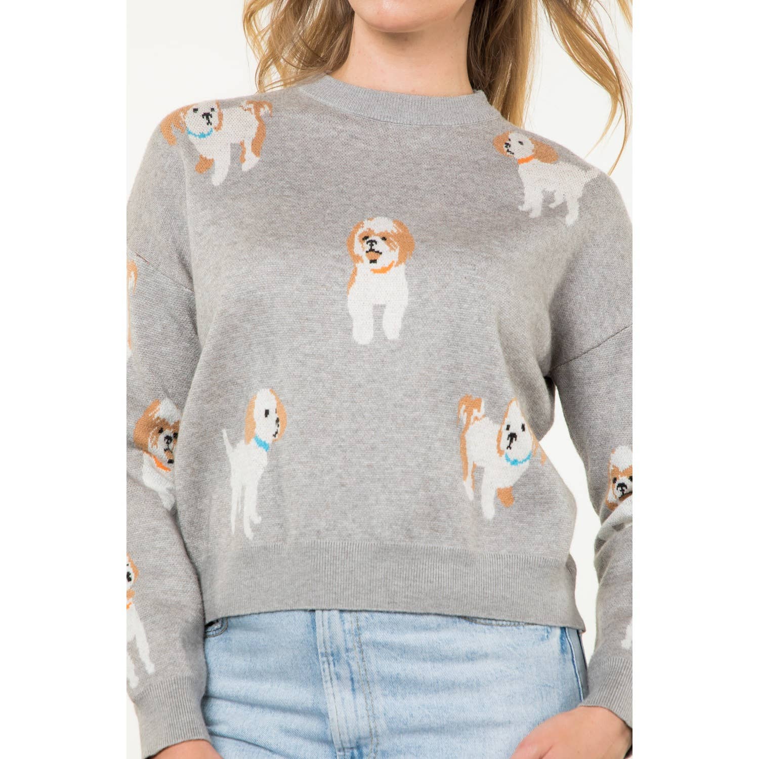 Dog Knit Crew Neck Sweater grey front | MILK MONEY milkmoney.co | cute clothes for women. womens online clothing. trendy online clothing stores. womens casual clothing online. trendy clothes online. trendy women's clothing online. ladies online clothing stores. trendy women's clothing stores. cute female clothes.