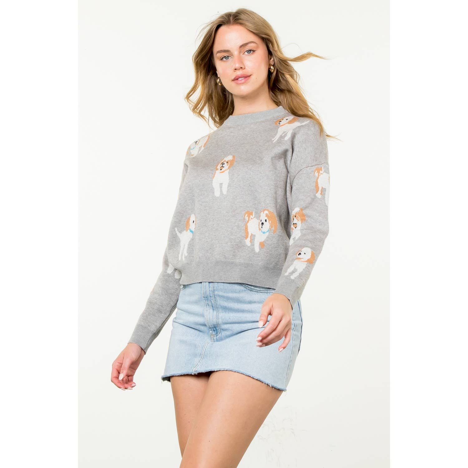 Dog Knit Crew Neck Sweater grey front | MILK MONEY milkmoney.co | cute clothes for women. womens online clothing. trendy online clothing stores. womens casual clothing online. trendy clothes online. trendy women's clothing online. ladies online clothing stores. trendy women's clothing stores. cute female clothes.