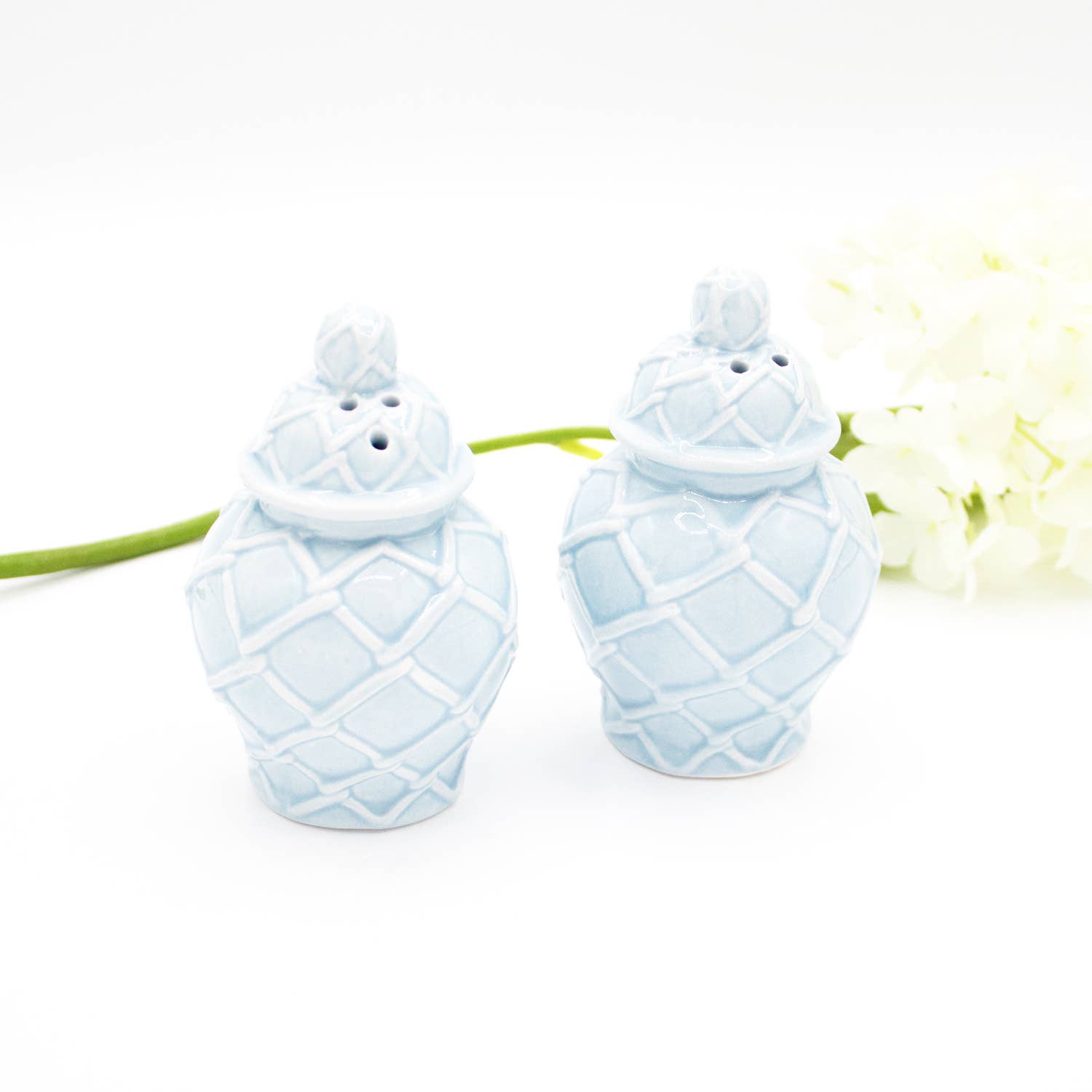 Light Blue Textured Jar Salt & Pepper Shaker Boxed Set