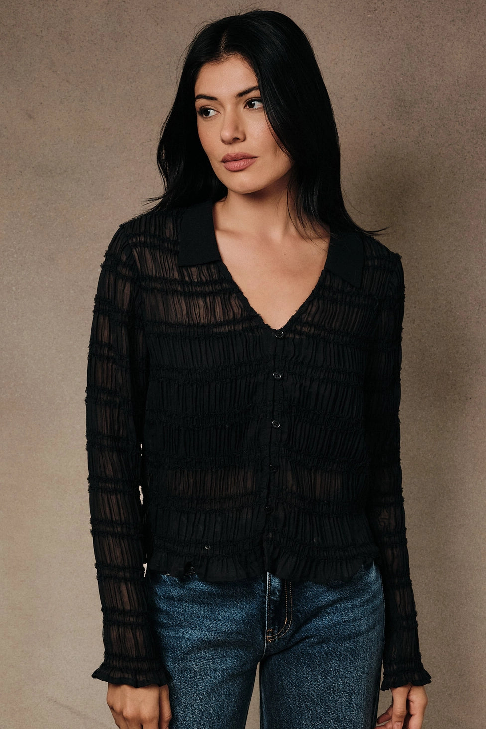 Sheer Button Up Long Sleeve Top