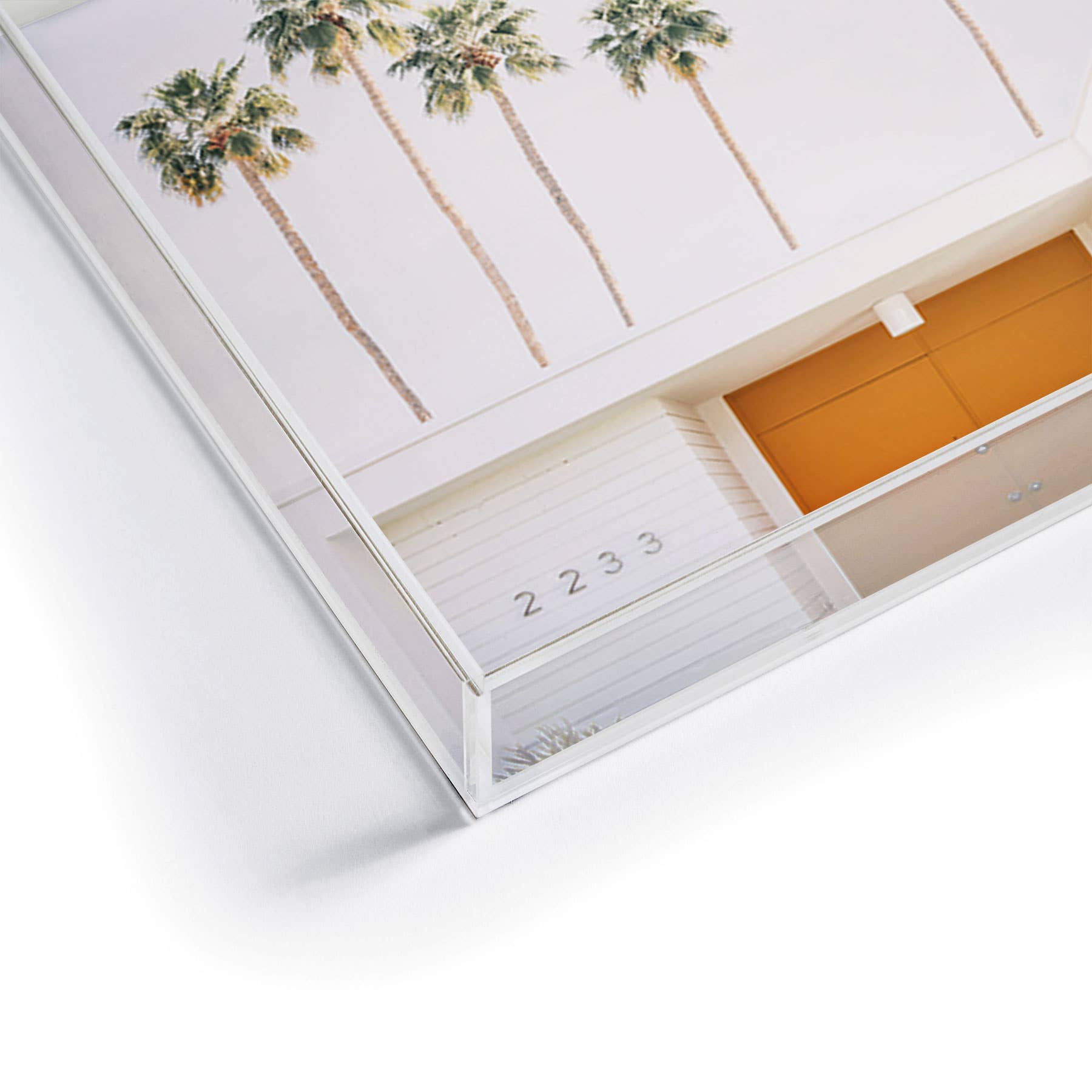 Palm Springs Acrylic Tray