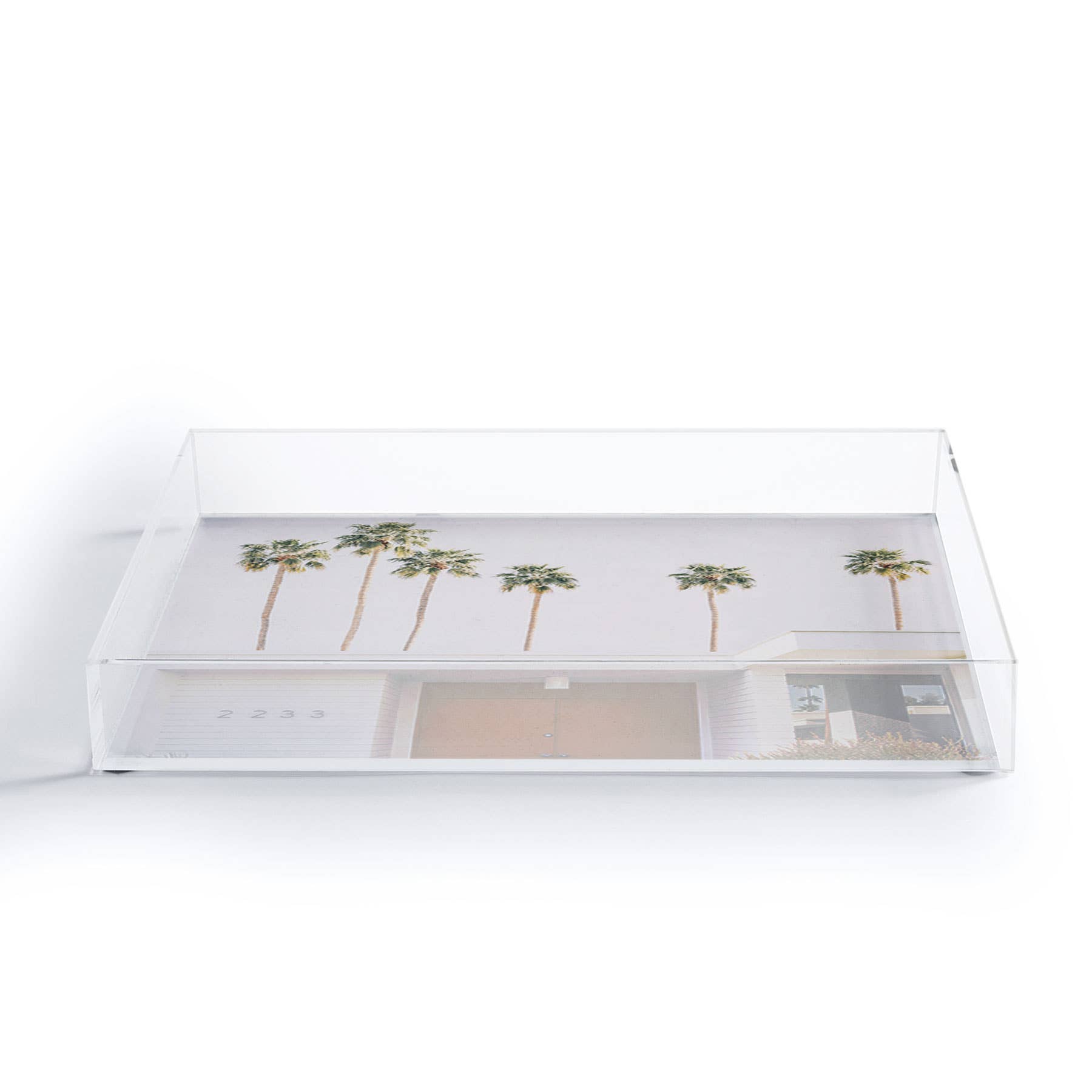 Palm Springs Acrylic Tray