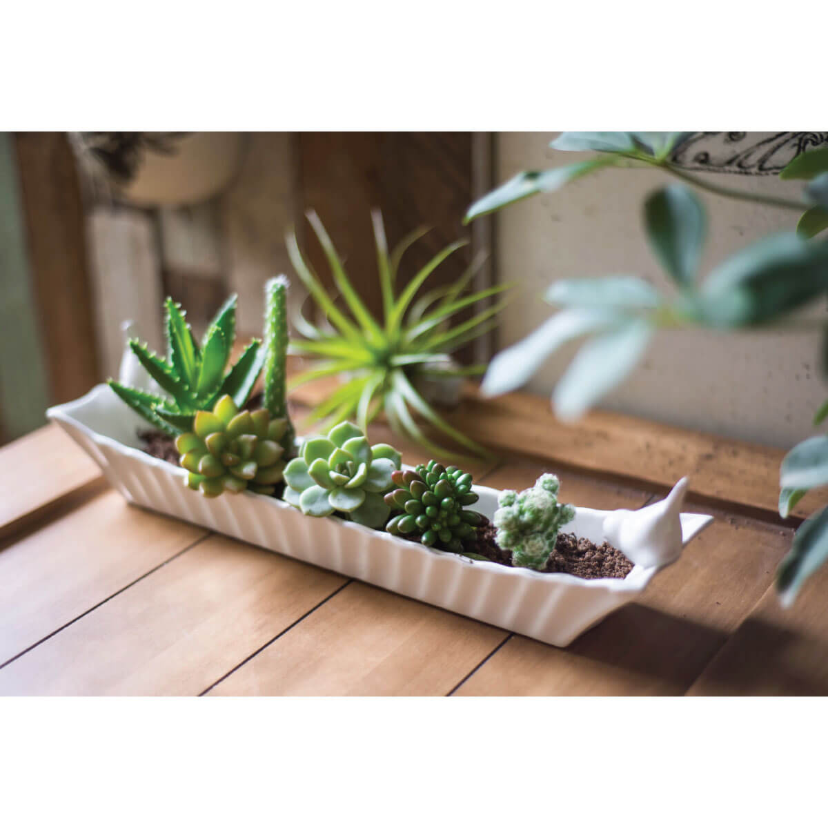 Ceramic Birds Cracker Dish white | MILK MONEY milkmoney.co | white elephant gift ideas, gift, mother's day gift ideas, white elephant gift, gift shops near me, cute home decor, mother's day gift, cute home accents, handmade in USA, elegant home decor, luxury home, luxury gifts
Unique gifts, Best gifts for her, Gift ideas for him. Last-minute gifts
Cheap gift ideas, Gifts for women, Luxury gifts