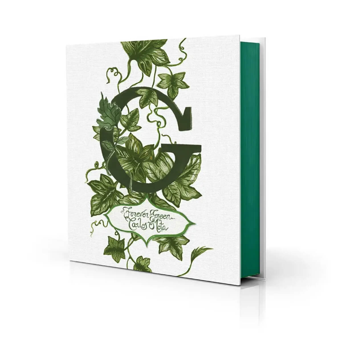 G: Forever Green: A Celebration of Nature’s Most Prominent Color Coffee Table Book  front | MILK MONEY milkmoney.co | white elephant gift ideas, gift, mother's day gift ideas, white elephant gift, gift shops near me, cute home decor, mother's day gift, cute home accents, handmade in USA, elegant home decor, luxury home, luxury gifts
Unique gifts, Best gifts for her, Gift ideas for him. Last-minute gifts
Cheap gift ideas, Gifts for women, Luxury gifts