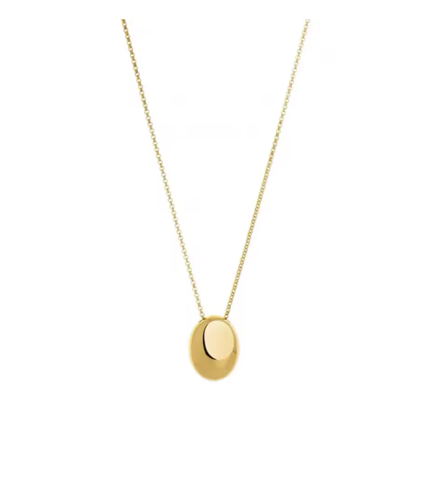 Long Chain Oval Pendant Necklace