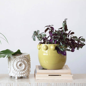 Terra-cotta Planter with Raised Dots Trim  front | MILK MONEY milkmoney.co | 	Home decor online, Modern home decor, Luxury home furnishings, Best home decor, Home accessories for sale, Living room furniture sets, Kitchen decor ideas, Wall art for home, Bathroom accessories, Vintage home decor, Minimalist home decor
