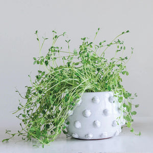 Terracotta Planter with Raised Dots  white front | MILK MONEY milkmoney.co | 	Home decor online, Modern home decor, Luxury home furnishings, Best home decor, Home accessories for sale, Living room furniture sets, Kitchen decor ideas, Wall art for home, Bathroom accessories, Vintage home decor, Minimalist home decor
