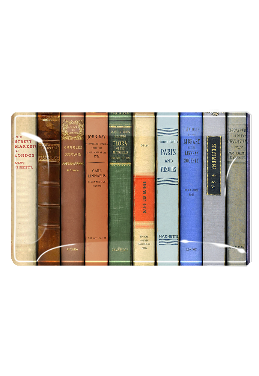 New York Public Library Reserve Decoupage Glass Tray