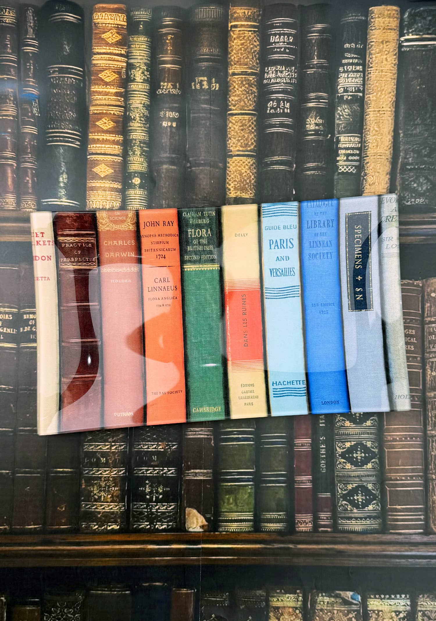 New York Public Library Reserve Decoupage Glass Tray