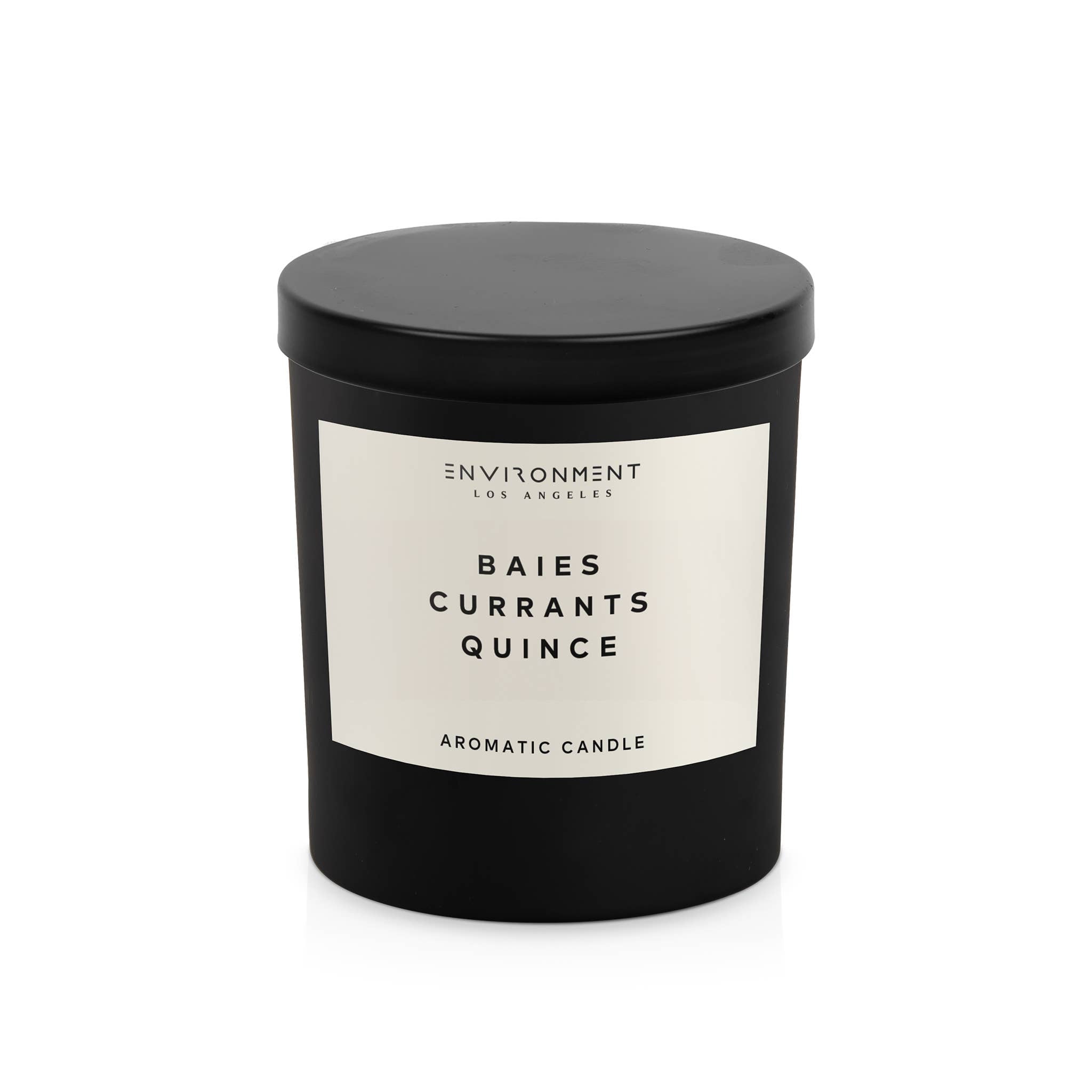 ENVIRONMENT 8oz Candle Inspired by Diptyque Baies - Thumbnail 2