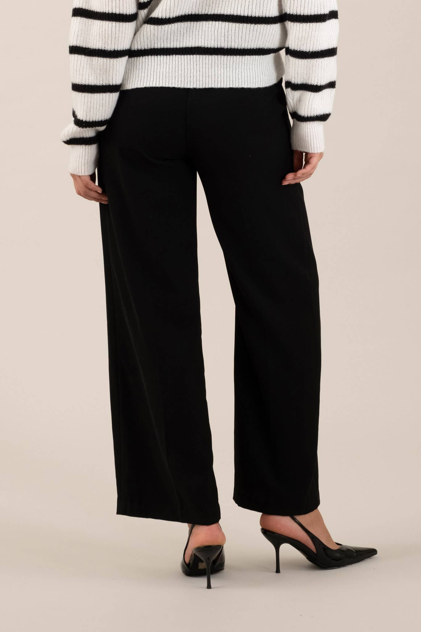 Hi-Waist Wide Leg Pleated Dress Pants