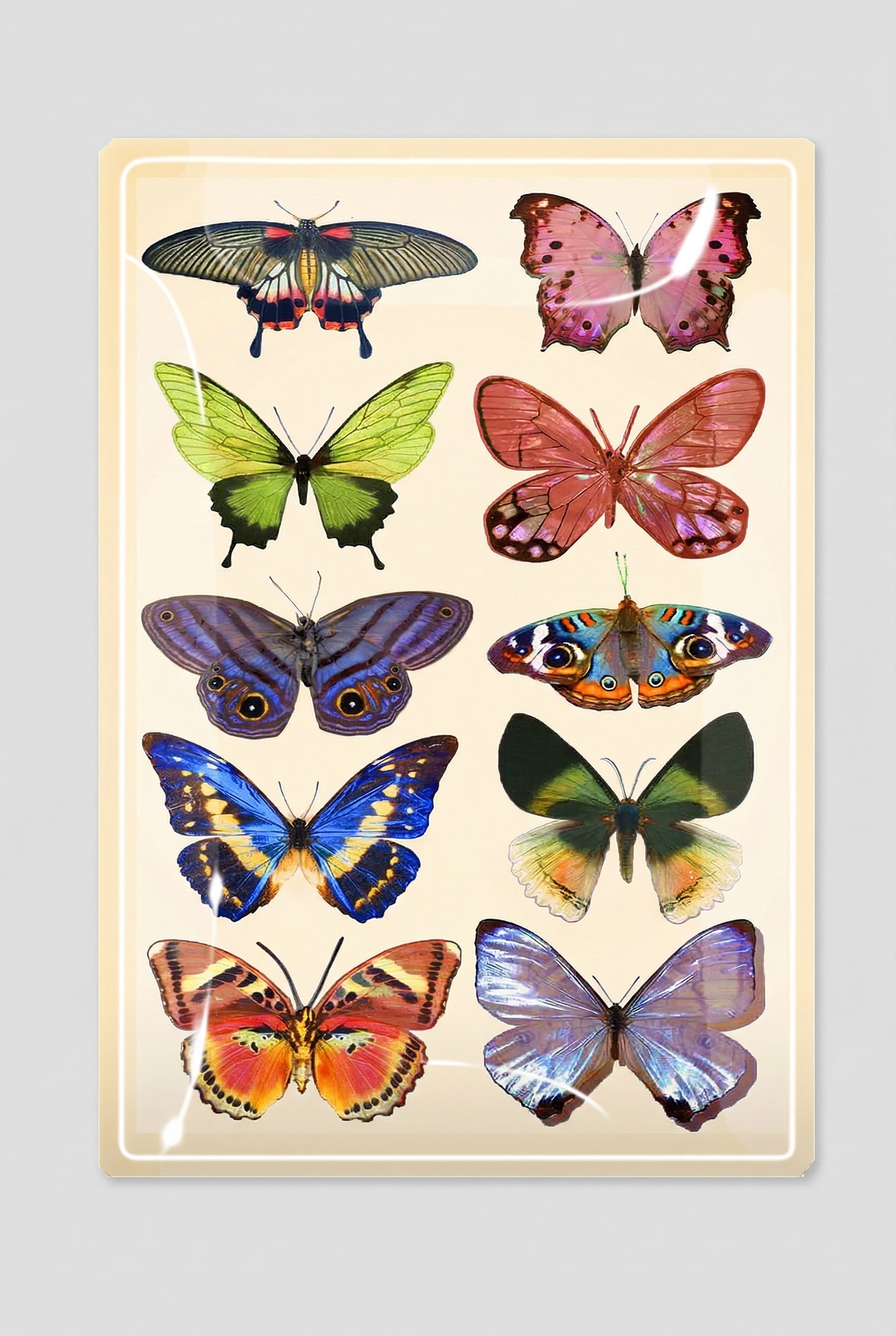 Wildflower Butterflies Decoupage Glass Tray