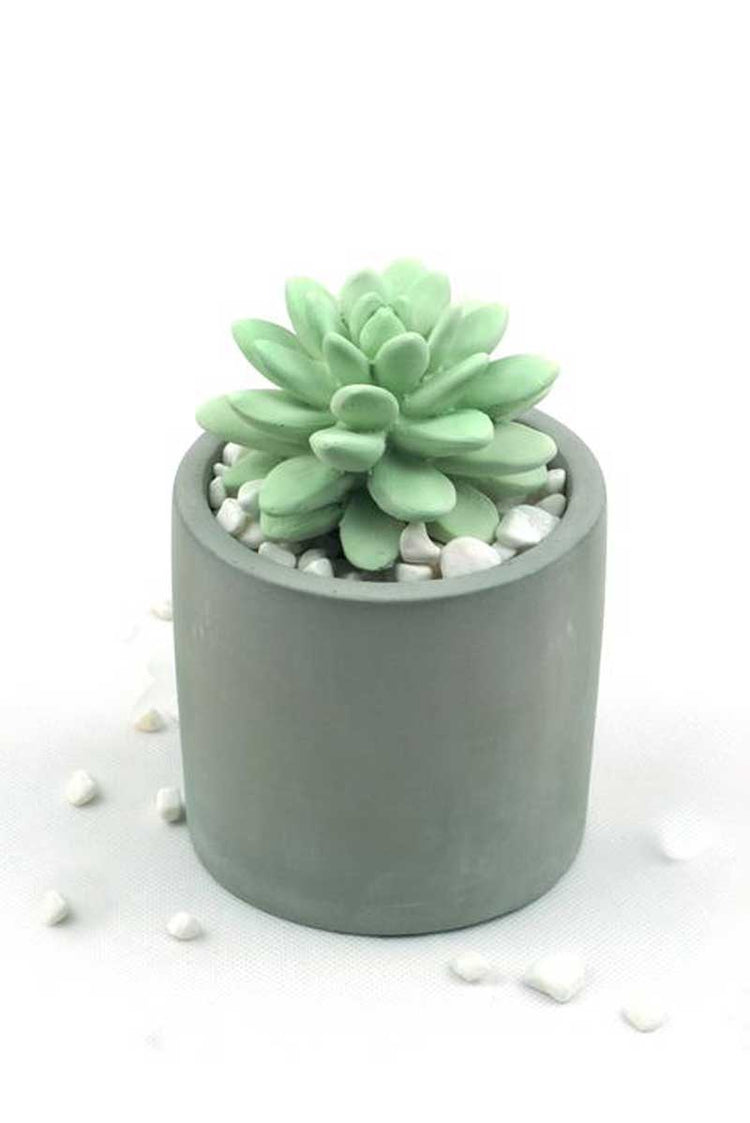 Ceramic Succulent Fragrance Diffuser  front grey | MILK MONEY milkmoney.co | cute home accessories, home fragrance, gift items