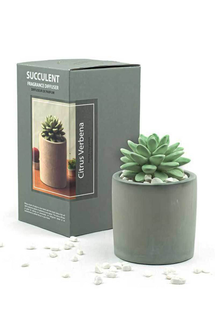 Ceramic Succulent Fragrance Diffuser front package grey | MILK MONEY milkmoney.co | cute home accessories, home fragrance, gift items