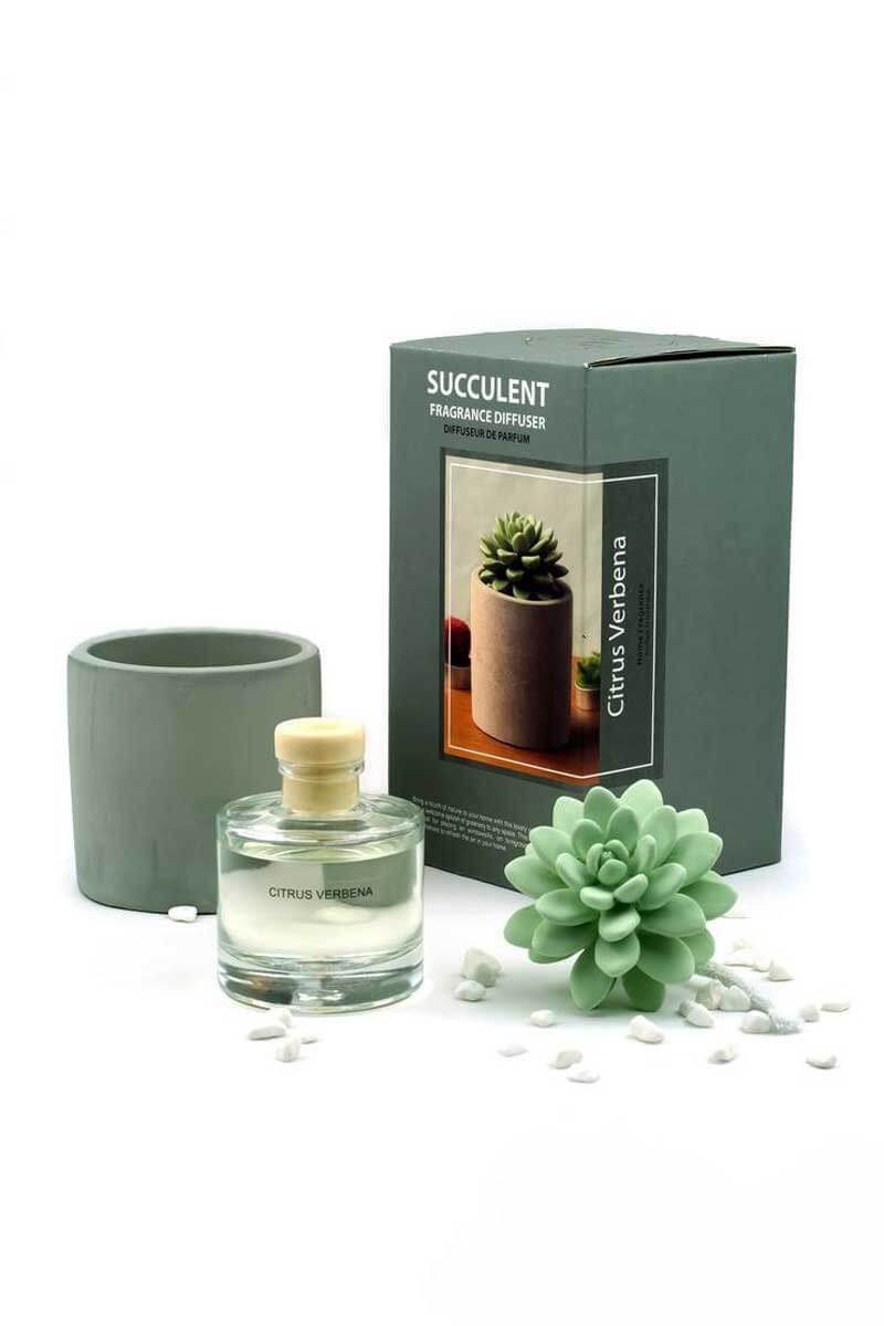 Ceramic Succulent Fragrance Diffuser front package contents grey | MILK MONEY milkmoney.co | cute home accessories, home fragrance, gift items
