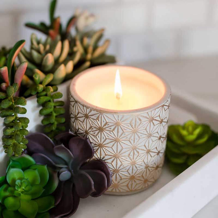 Garden Terrace Vanilla Orchid Concrete Candle lifestyle | MILK MONEY | milkmoney.co