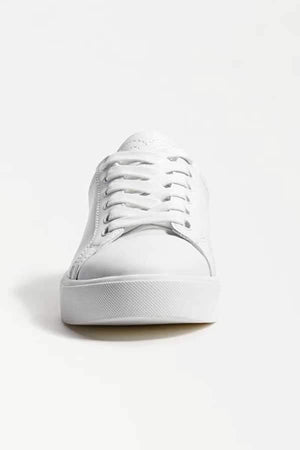 Sam Edelman Ethyl Lace Up Sneaker white leather front | MILK MONEY milkmoney.co | cute shoes for women. ladies shoes. nice shoes for women. footwear for women. ladies shoes online. ladies footwear. womens shoes and boots. pretty shoes for women. beautiful shoes for women.